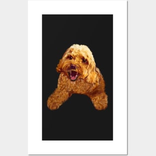 Cute smiling Cavapoo Cavoodle puppy dog - cavalier king charles spaniel poodle, puppy love Posters and Art